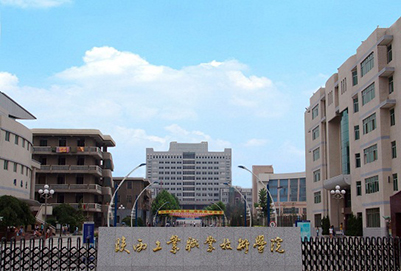 陕西工业职业技术学院与网络技术服务的深度融合